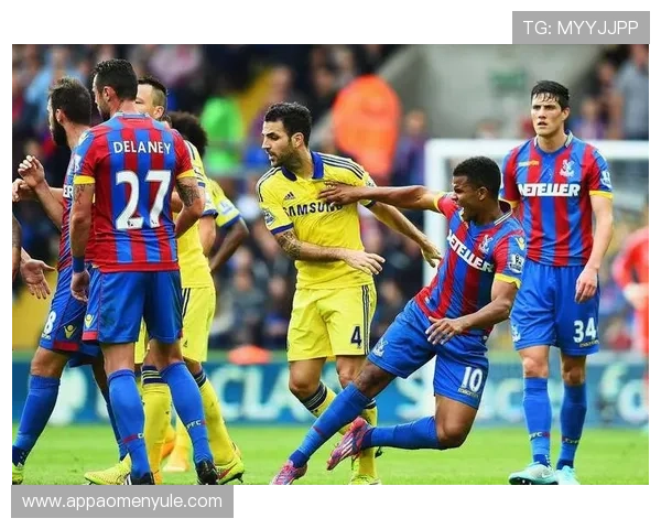 水晶宫主场叫什么名字对球队战绩的影响分析 水晶宫主场叫什么名字对球队战绩的影响分析