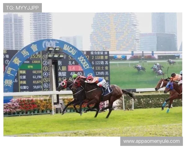 澳门赛马日历史回顾，见证澳门赛马文化的辉煌与发展历程