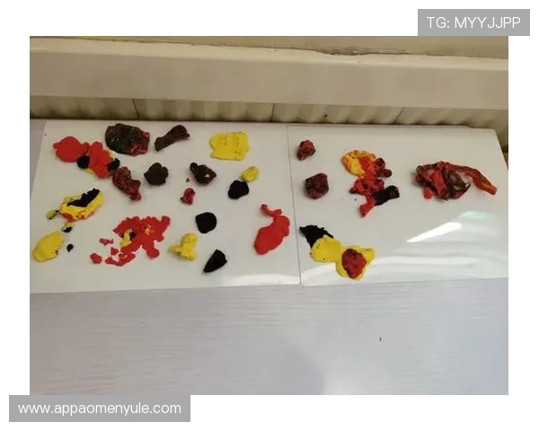 了解马会投注手机版会员登录流程，快捷安全尽享投注乐趣