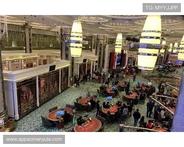 何鸿燊所拥有的赌场数量及其在澳门博彩业中的影响力分析