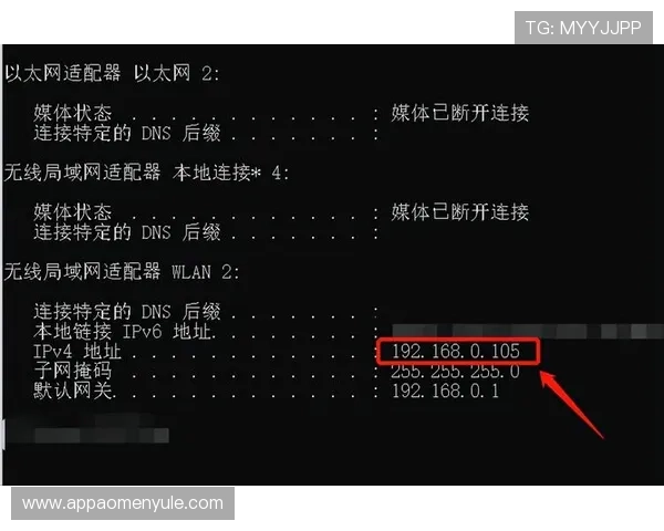 利发真人官方地址是哪里官方地址查询的常见问题与解决方案