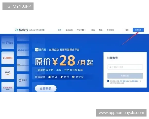 如何安全使用凯旋门官网登录平台,有效防范账号信息泄露风险 如何安全使用凯旋门官网登录平台,有效防范账号信息泄露风险