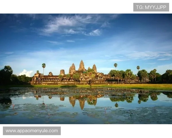 柬埔寨百家樂的投资价值分析，为什么越来越多人选择这里