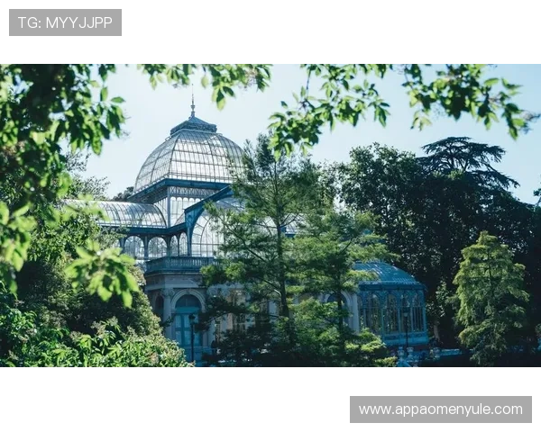 水晶宫主场在哪：水晶宫体育场的地址、交通便利性及附近的观光推荐